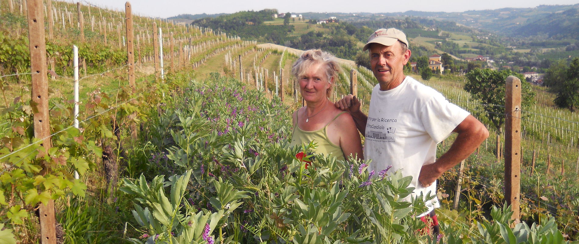 Vino Biologico Langhe